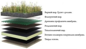 Особливості реалізації зеленого даху